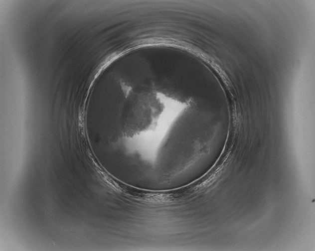 X0000116021529200911271106