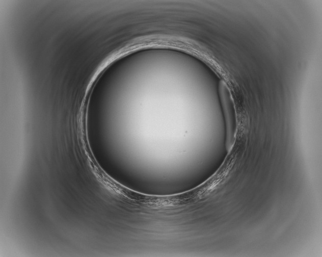 X0000116021530200911271106