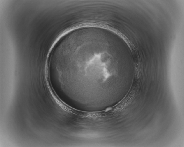 X0000116021531200911271106