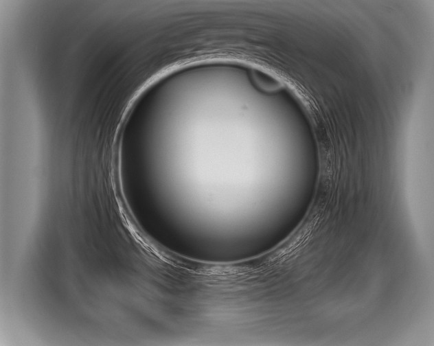 X0000116021534200911271106