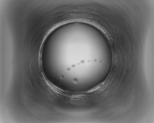 X0000116021535200911271106