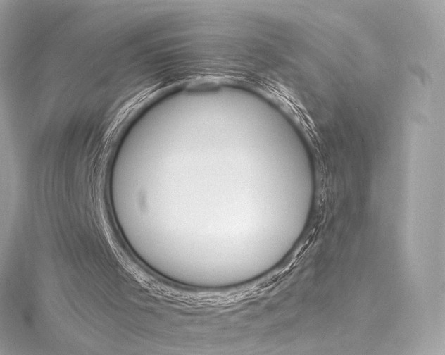 X0000116020001200912041759