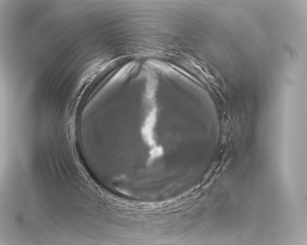 X0000116020002200912041759