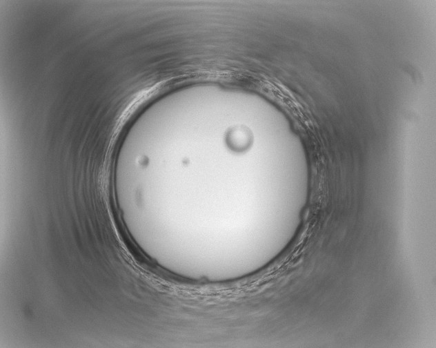 X0000116020003200912041759