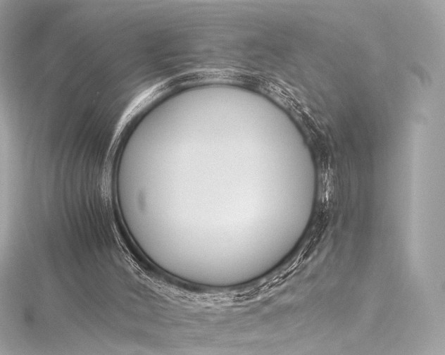 X0000116020004200912041759