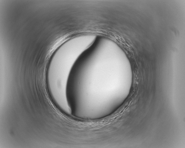 X0000116020005200912041759