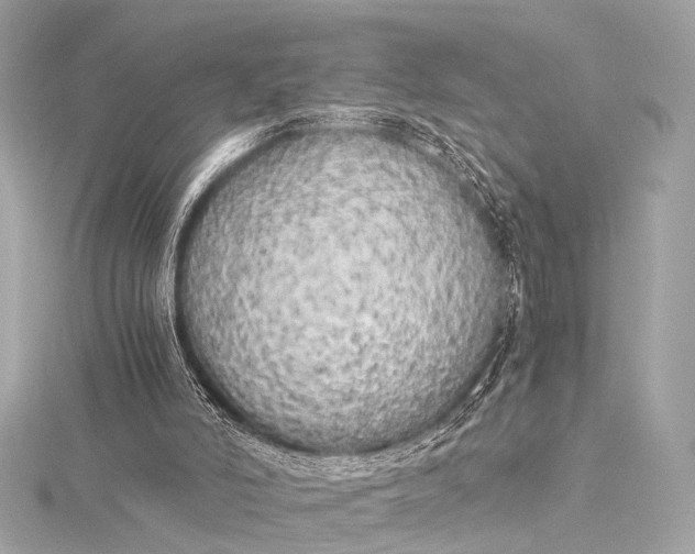 X0000116020006200912041759