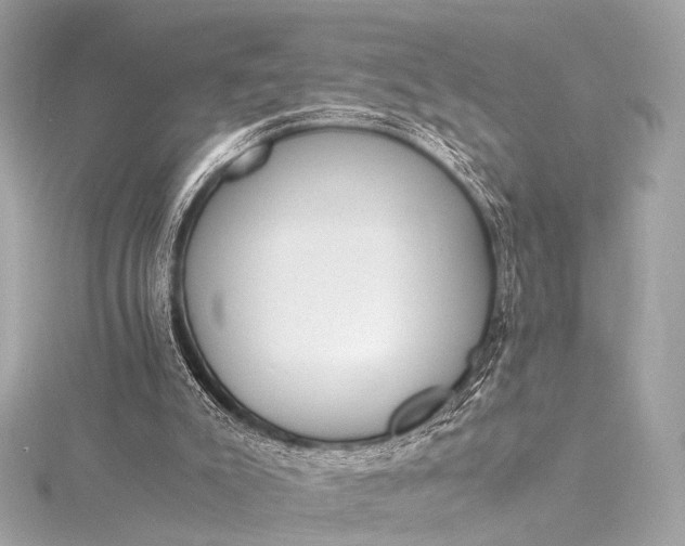 X0000116020007200912041759