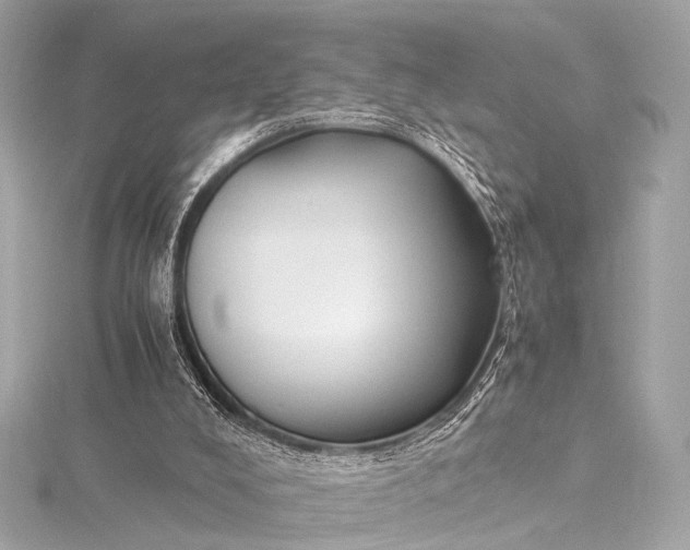 X0000116020008200912041759