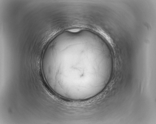 X0000116020009200912041759