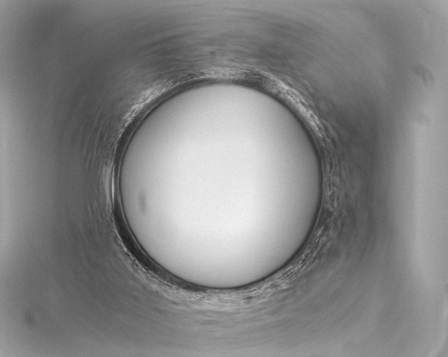 X0000116020011200912041759