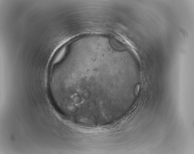 X0000116020012200912041759