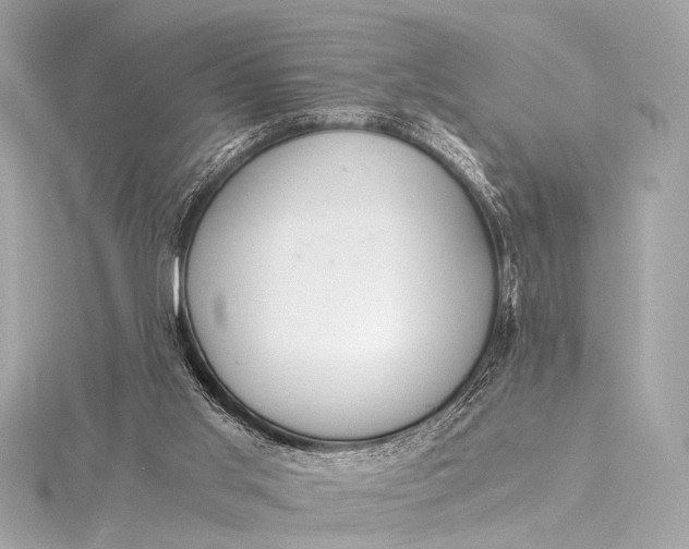 X0000116020013200912041759