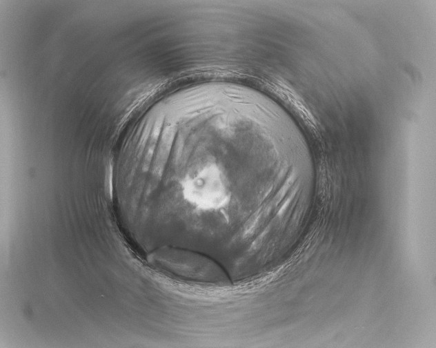 X0000116020014200912041759