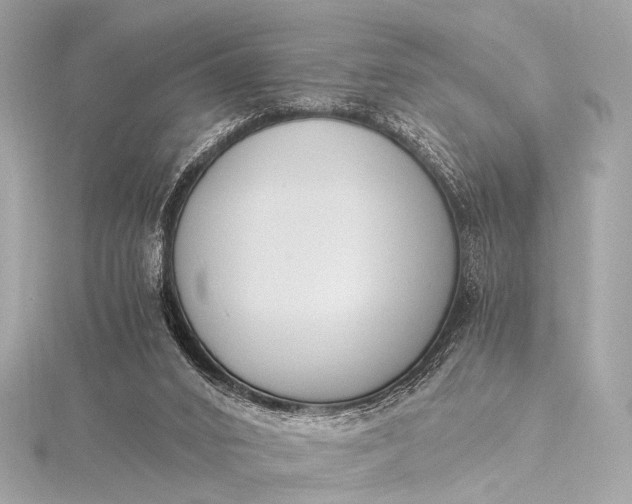 X0000116020016200912041759