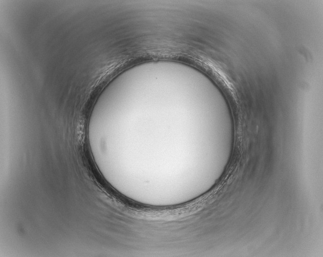 X0000116020017200912041759