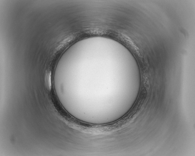 X0000116020020200912041759