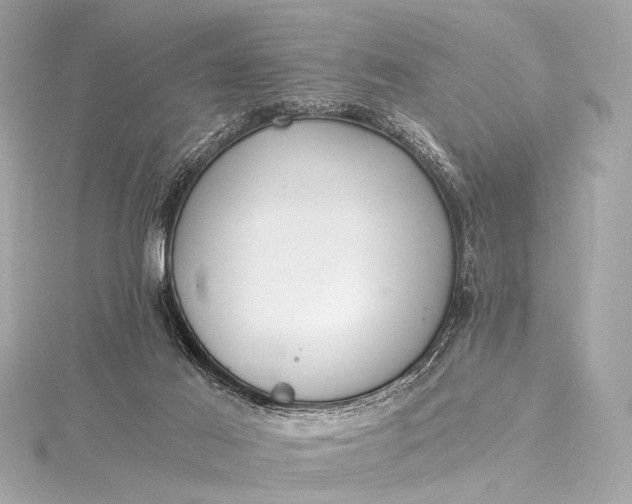 X0000116020021200912041759