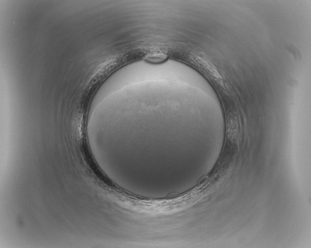 X0000116020023200912041759