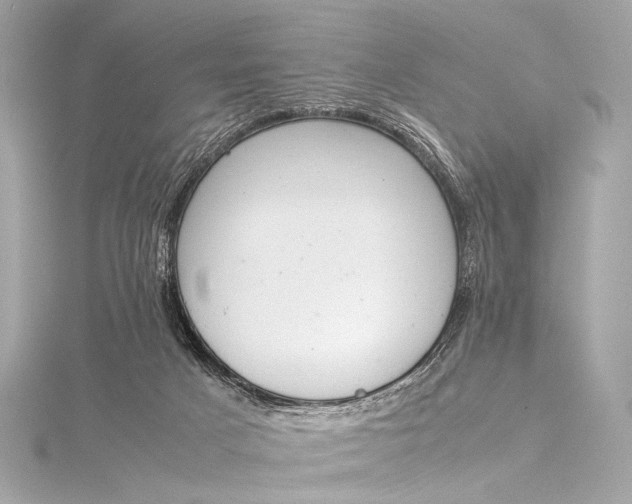 X0000116020025200912041759