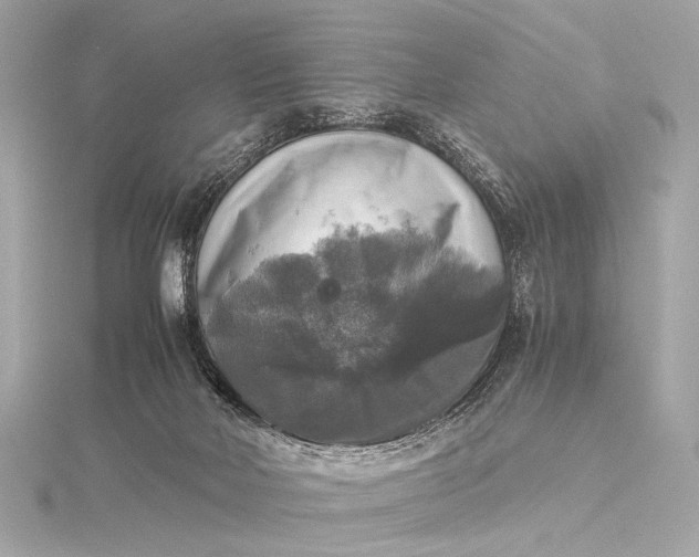 X0000116020026200912041759