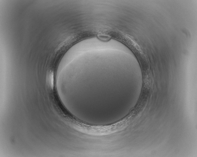 X0000116020027200912041759