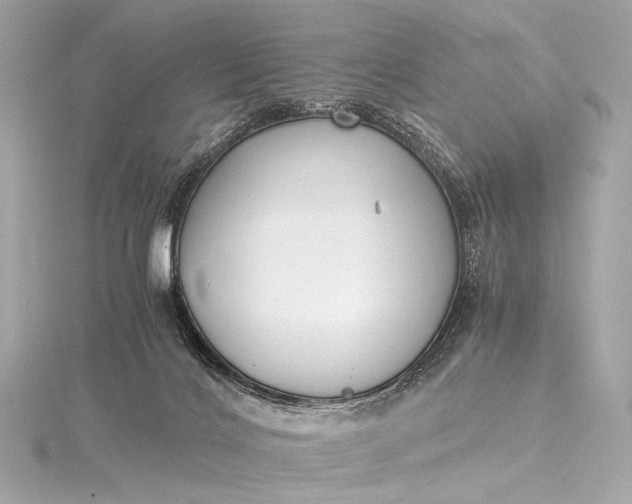 X0000116020028200912041759