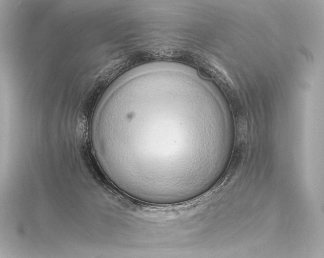 X0000116020029200912041759