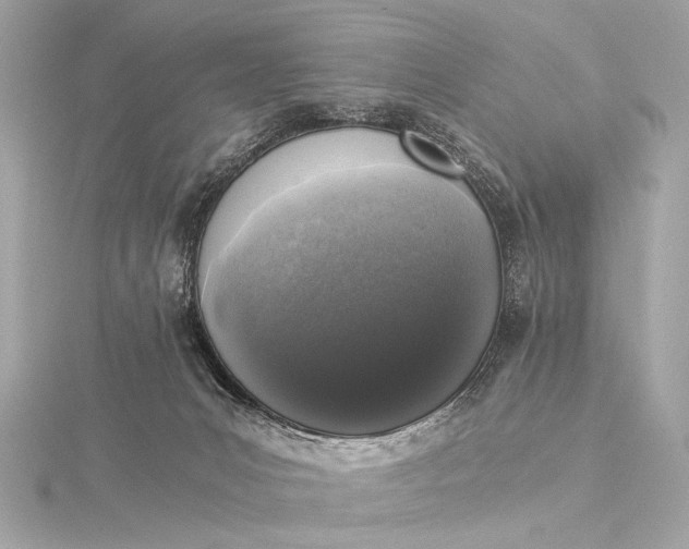 X0000116020031200912041759