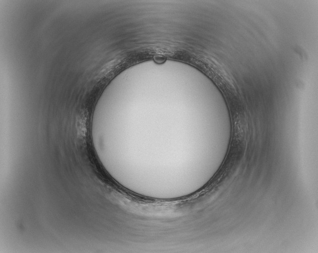 X0000116020032200912041759