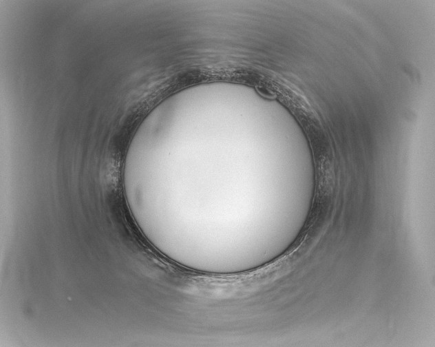 X0000116020033200912041759