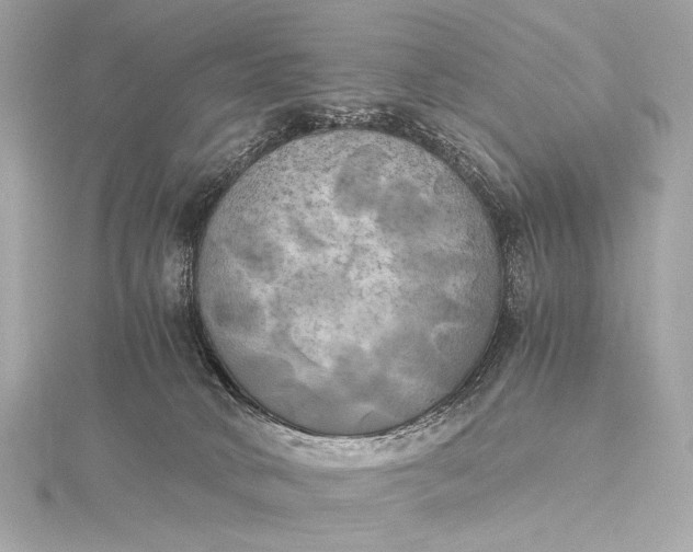 X0000116020034200912041759