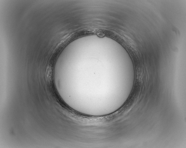 X0000116020036200912041759