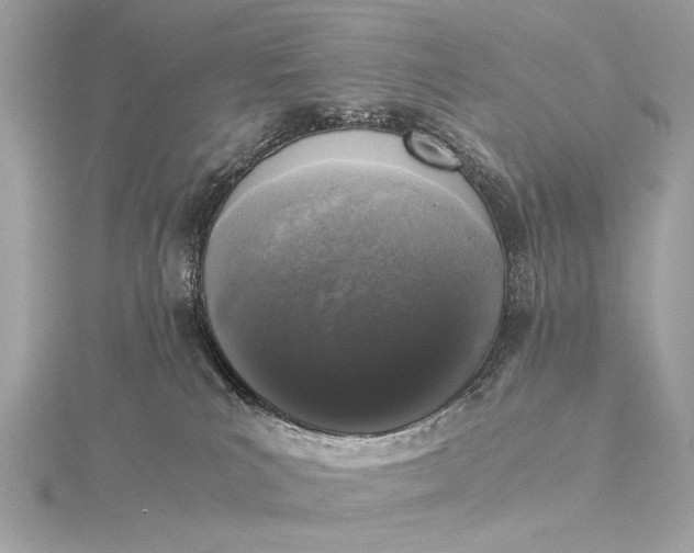 X0000116020039200912041759