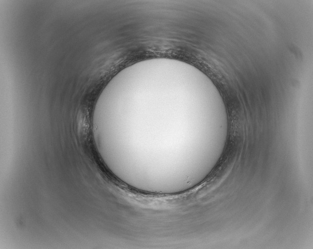 X0000116020040200912041759