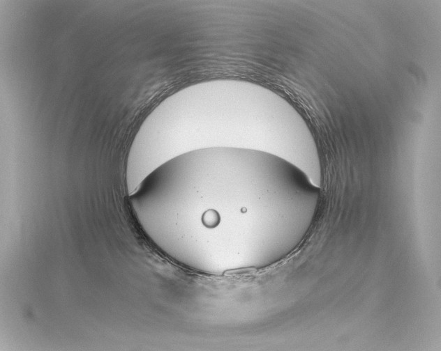 X0000116020041200912041759