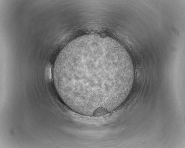 X0000116020042200912041759