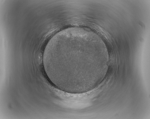 X0000116020043200912041759