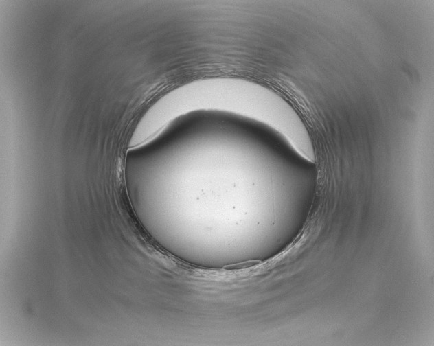 X0000116020045200912041759