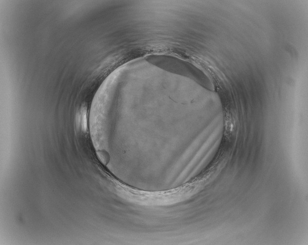 X0000116020046200912041759