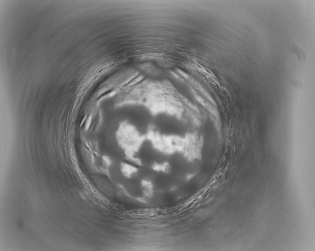 X0000116020049200912041758