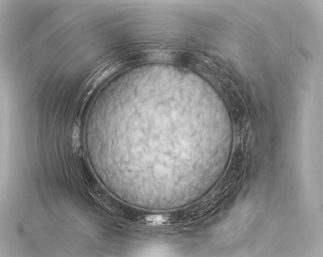 X0000116020050200912041758