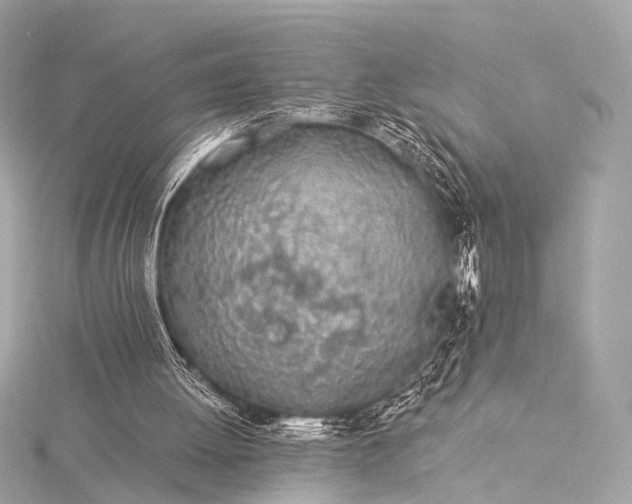 X0000116020052200912041758