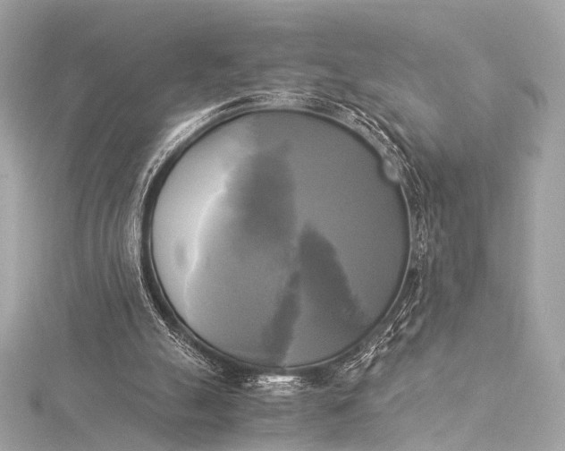 X0000116020055200912041758