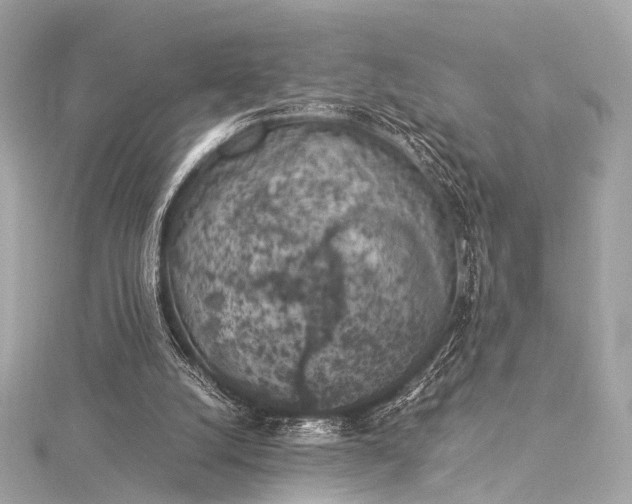 X0000116020056200912041758