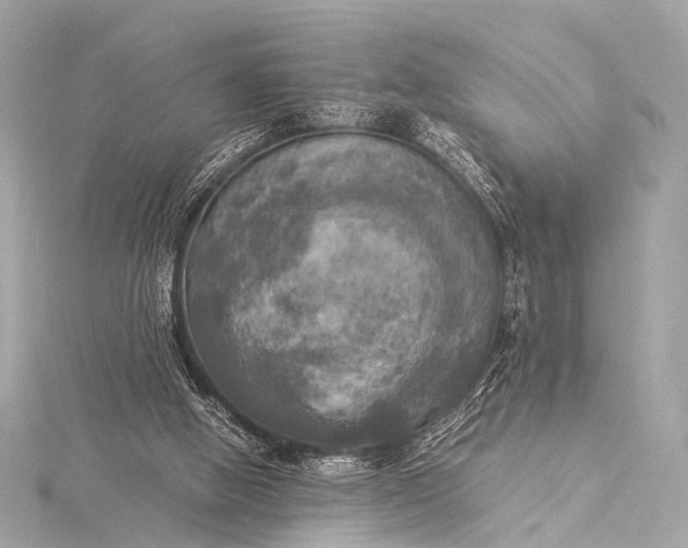 X0000116020058200912041758