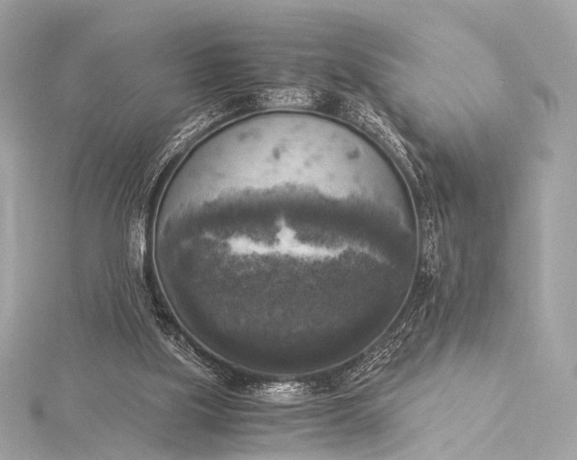 X0000116020059200912041758