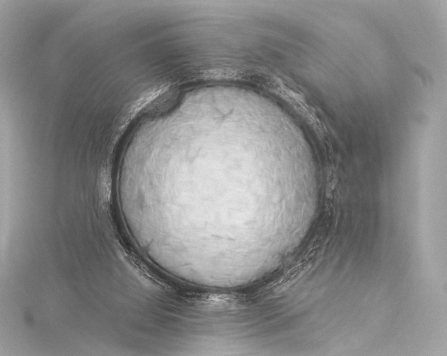 X0000116020060200912041758