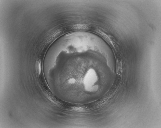 X0000116020061200912041758