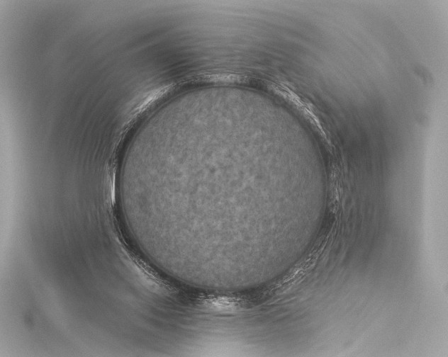 X0000116020062200912041758